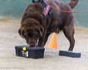 20260718-nskc-0636