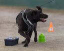 20260718-nskc-0644