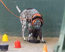 20260718-nskc-0654
