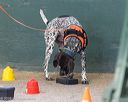 20260718-nskc-0655