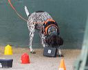 20260718-nskc-0656