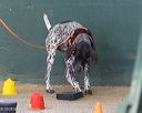 20260718-nskc-0657