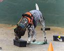 20260718-nskc-0659