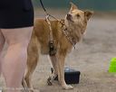 20260718-nskc-0675