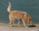 20260718-nskc-0677