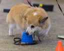 20260718-nskc-0690