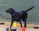 20260718-nskc-0695
