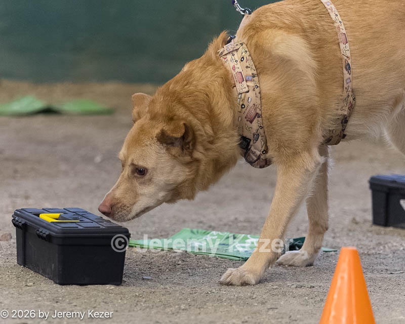 20260718-NSKC-0679.jpg