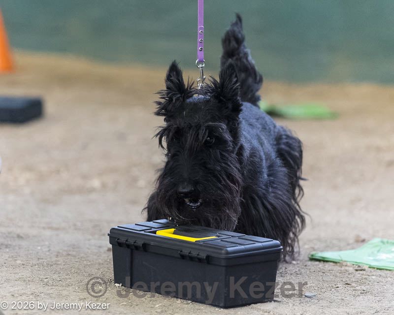 20260718-nskc-0572.jpg