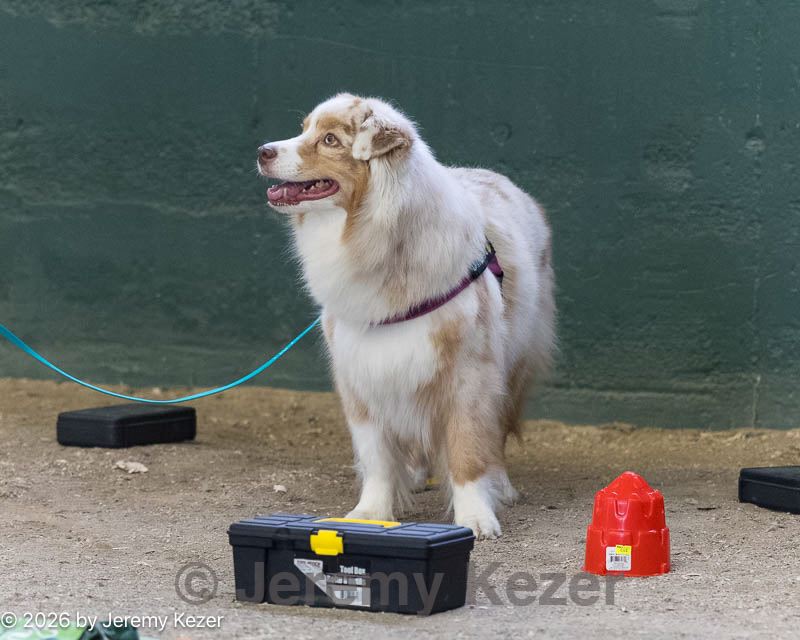 20260718-nskc-0612.jpg
