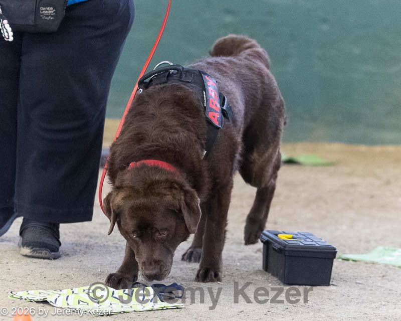 20260718-nskc-0642.jpg