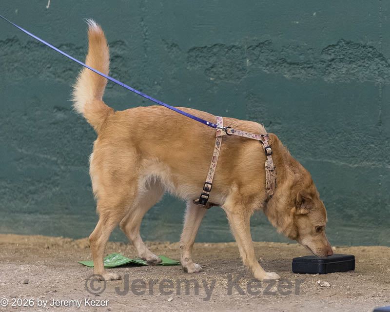 20260718-nskc-0677.jpg