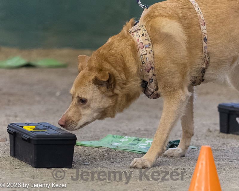 20260718-nskc-0679.jpg