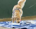 20260718-nskc-0012