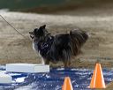 20260718-nskc-0038