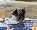 20260718-nskc-0042