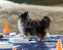 20260718-nskc-0044