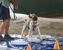 20260718-nskc-0062