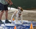 20260718-nskc-0063