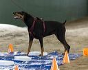 20260718-nskc-0069