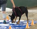 20260718-nskc-0070