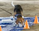 20260718-nskc-0081