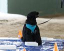 20260718-nskc-0114