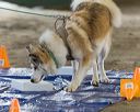 20260718-nskc-0125
