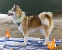 20260718-nskc-0127