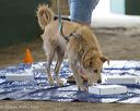 20260718-nskc-0132