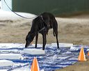 20260718-nskc-0142