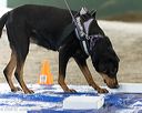 20260718-nskc-0161