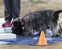 20260718-nskc-0186