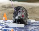 20260718-nskc-0188