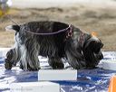 20260718-nskc-0189