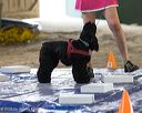 20260718-nskc-0245