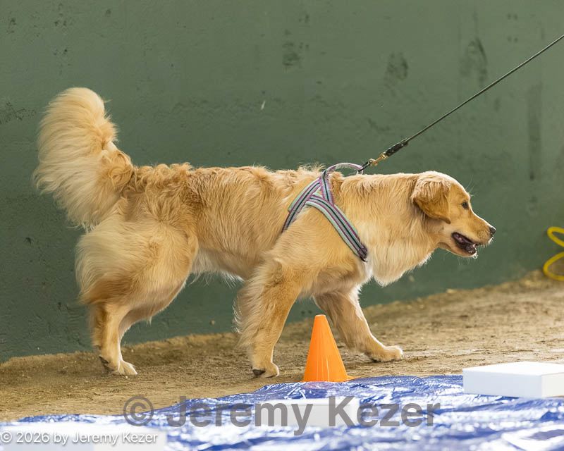 20260718-nskc-0010.jpg