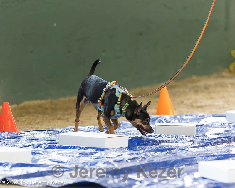 20260718-nskc-0019.jpg
