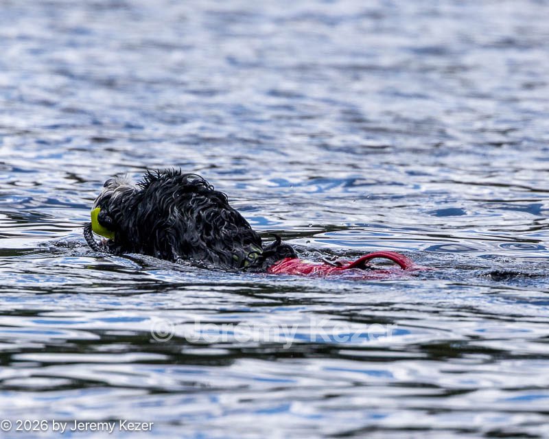 20260815-CWD-0200.jpg