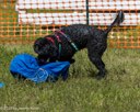 20260816-WWD-0012