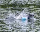 20260823-CWD-0035