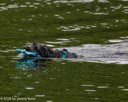 20260823-CWD-0036