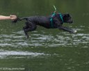 20260823-CWD-0052