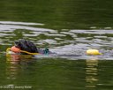 20260823-CWD-0061