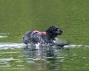 20260823-CWD-0092
