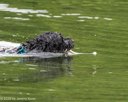 20260823-CWD-0144