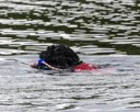 20260823-CWD-0221