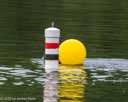 20260823-CWD-0254