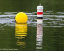 20260823-CWD-0255