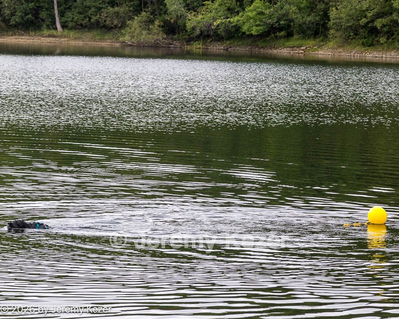 20260823-CWD-0078.jpg